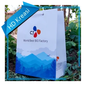 Custom Paper Bag Full Color